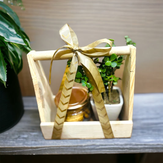 Return Gift Hamper - Pine Basket with Planter and Cookies