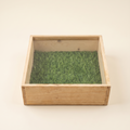 8x8x4 inch pinewood gift box with sliding acrylic top for premium gifting and packaging