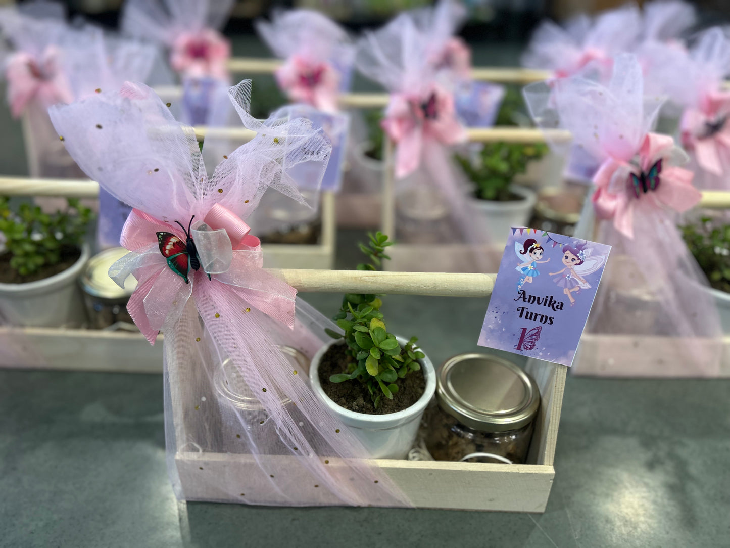 Delightful Baby-Themed Return Gift Hamper with Freshly Baked Cookies & Jade Plant in Wooden Basket