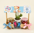 Baby shower hut style pinewood basket hamper with jade plant