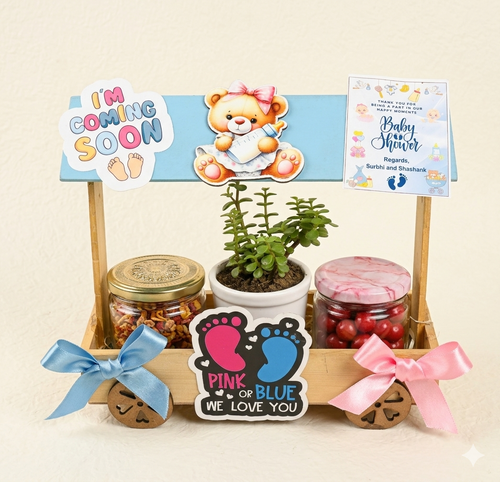 Baby shower hut style pinewood basket hamper with jade plant