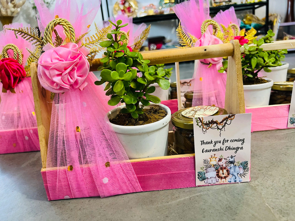 Baby return gift hamper with jade plant, almonds and raisins in decorated pinewood basket