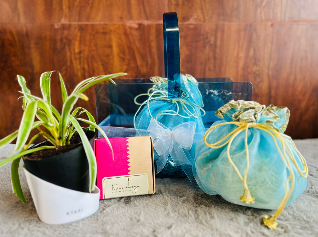 Eco-friendly Diwali hamper featuring a self-watering plant and festive acrylic gift box