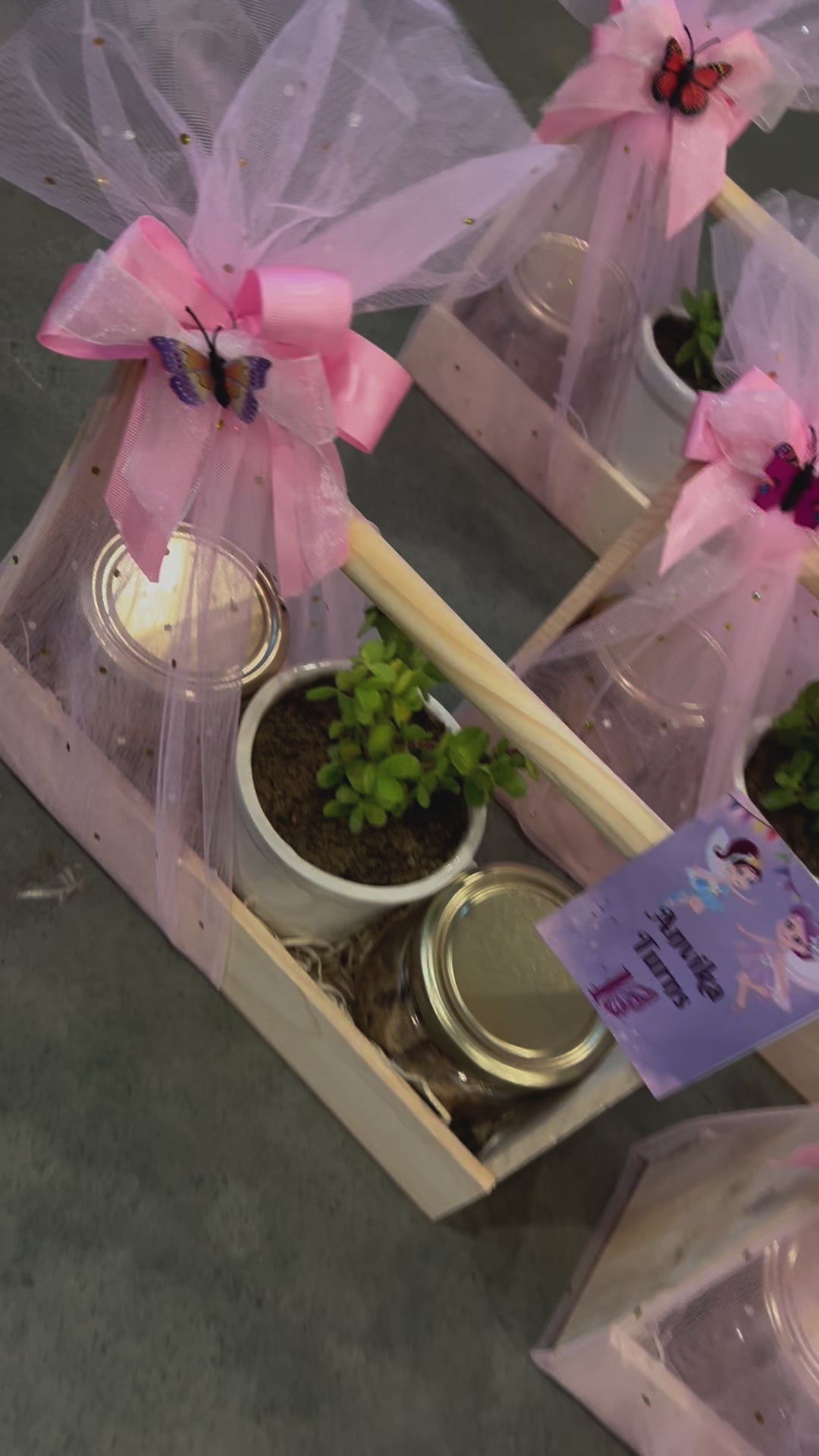 3 Jar pinewood basket containing cookies & Fresh Jade Plant for return gift hamper