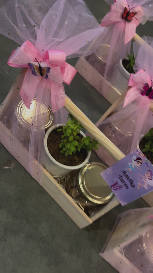 3 Jar pinewood basket containing cookies & Fresh Jade Plant for return gift hamper